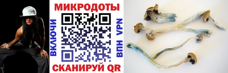 Купить где  Зима  Псилоцибиновые грибы Magic Shrooms 